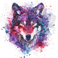 Animal Integration-DW 860